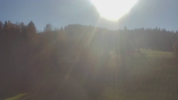 Snímek 7.11.2025 v 13:10