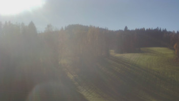 Snímek 12.11.2025 v 11:55