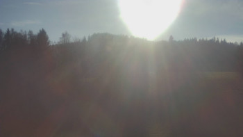 Snímek 16.11.2025 v 13:10