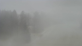 Snímek 17.11.2025 v 14:50