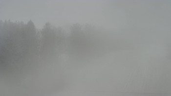 Snímek 17.11.2025 v 15:30