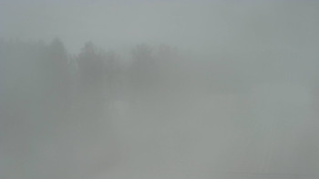 Snímek 17.11.2025 v 15:40