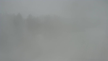 Snímek 17.11.2025 v 15:55