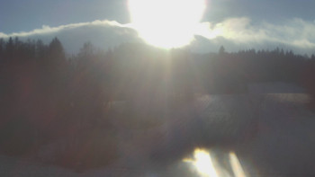 Snímek    20.11.2025 v 13:00