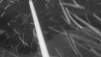 SKICENTRUM Miroslav Lipová Lázně