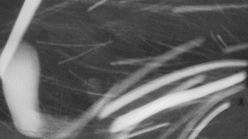 SKICENTRUM Miroslav Lipová Lázně