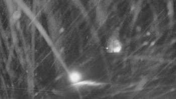 SKICENTRUM Miroslav Lipová Lázně