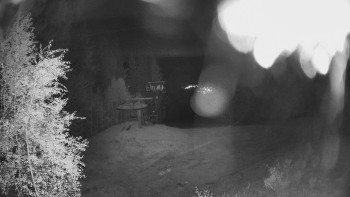 Snímek    10.5.2025 v 03:00