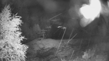 Snímek    11.5.2025 v 03:30