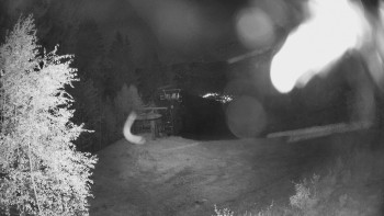 Snímek    14.5.2025 v 03:15