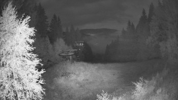 Snímek    13.9.2025 v 20:00