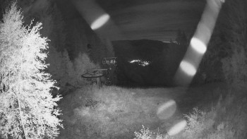 Snímek    15.9.2025 v 05:00
