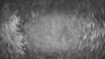 Snímek    15.9.2025 v 21:30