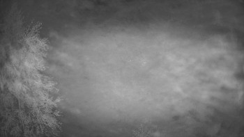 Snímek    15.9.2025 v 21:45