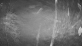 Snímek    15.10.2025 v 05:45