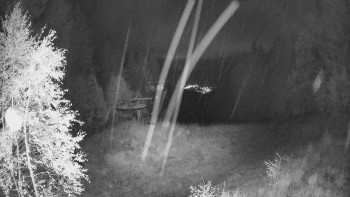 Snímek    19.10.2025 v 03:45