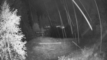 Snímek    24.10.2025 v 05:30