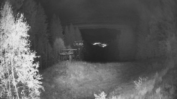 Snímek    25.10.2025 v 03:45