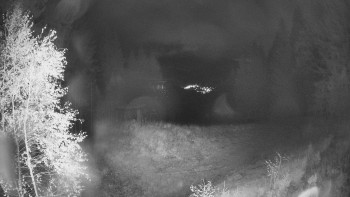 Snímek    25.10.2025 v 21:30
