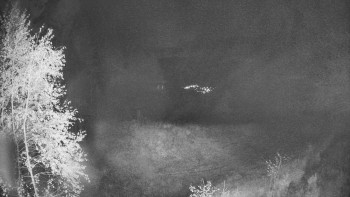 Snímek    25.10.2025 v 21:45