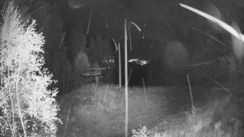 Snímek    26.10.2025 v 19:00
