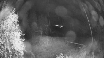 Snímek    26.10.2025 v 19:30