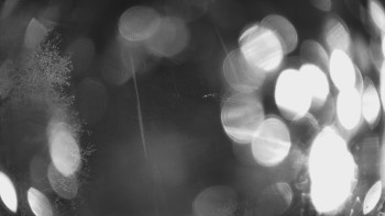 Snímek    27.10.2025 v 18:00
