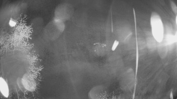 Snímek    27.10.2025 v 18:30