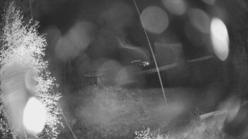 Snímek    27.10.2025 v 20:30