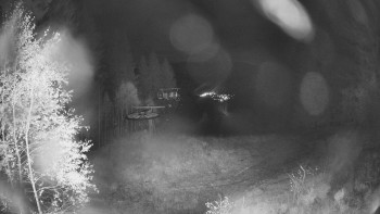 Snímek    28.10.2025 v 18:15