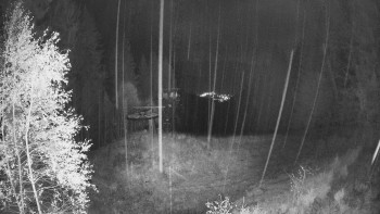 Snímek    28.10.2025 v 20:45