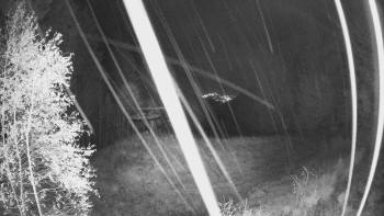 Snímek    28.10.2025 v 23:45