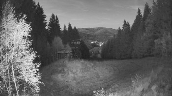 Snímek    29.10.2025 v 17:15