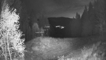 Snímek    1.11.2025 v 05:30