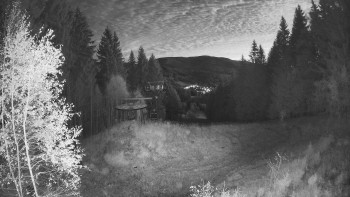 Snímek    1.11.2025 v 05:45