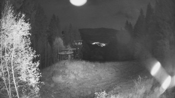 Snímek    1.11.2025 v 18:30