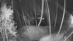 SKICENTRUM Miroslav Lipová Lázně - Výstupní stanice lanové dráhy - 3.11.2025 v 02:45