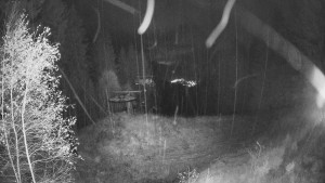 SKICENTRUM Miroslav Lipová Lázně - Výstupní stanice lanové dráhy - 3.11.2025 v 04:45