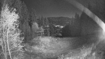 Snímek    4.11.2025 v 19:45