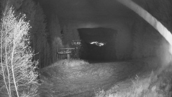 Snímek 8.11.2025 v 17:30