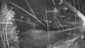 Snímek 8.11.2025 v 19:15