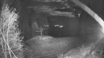 Snímek 8.11.2025 v 19:30