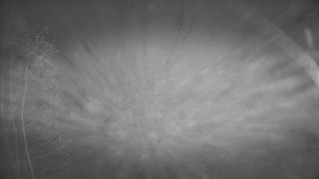 Snímek 9.11.2025 v 18:15