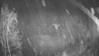 Snímek 9.11.2025 v 19:15