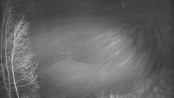 Snímek 15.11.2025 v 22:00