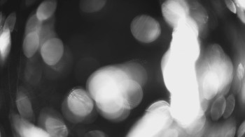 Snímek 17.11.2025 v 21:45