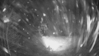 Snímek    21.11.2025 v 22:30