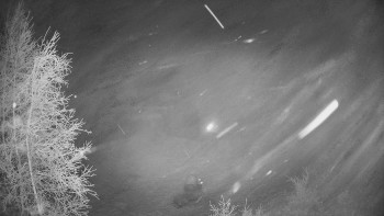 Snímek    22.11.2025 v 04:00