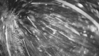 Snímek    22.11.2025 v 05:30