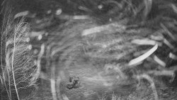 Výstupní stanice lanové dráhy